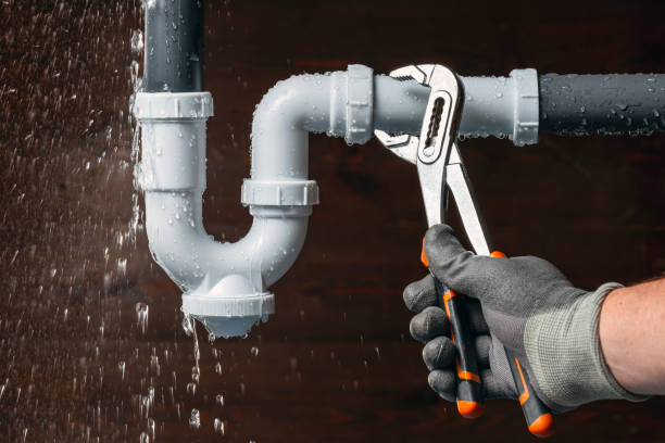 Professional Plumbing technician working in New Lothrop, MI